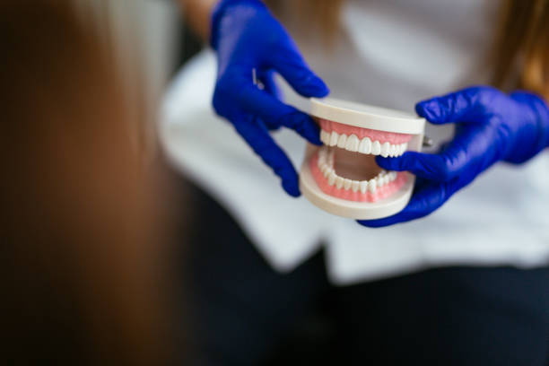 Best General Dentistry  in Hampton, IL